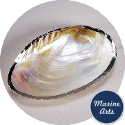 8486-17 - Cabebe Oyster Dish